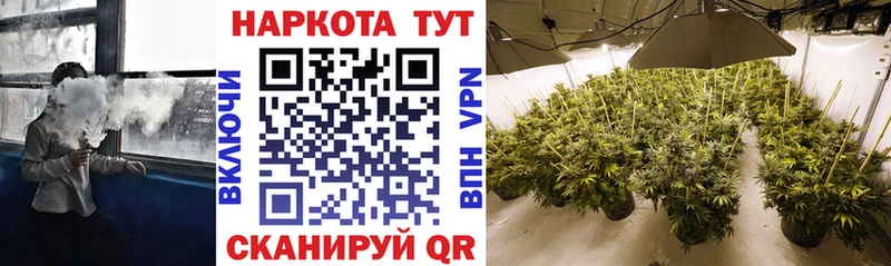 Вейп ТГК Грайворон