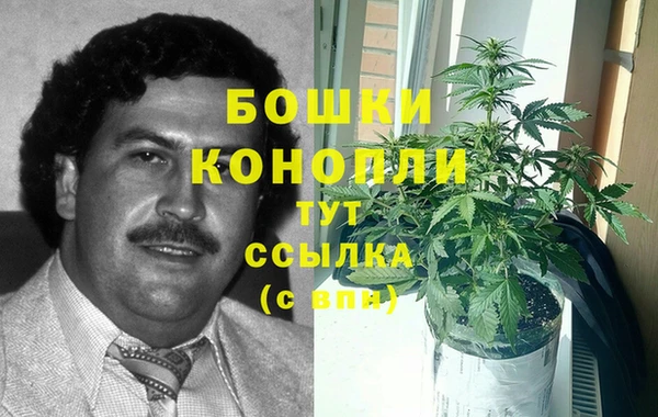 ешки Алексин