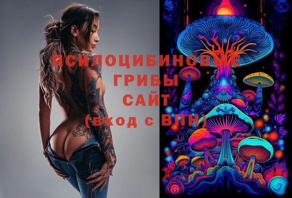 ешки Алексин