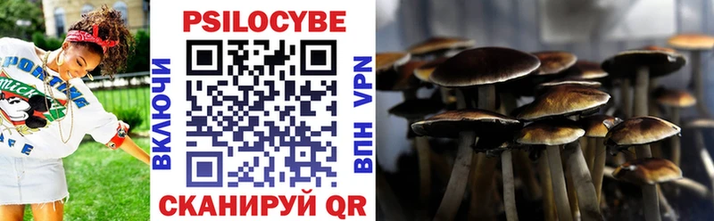 Галлюциногенные грибы прущие грибы  Грайворон 